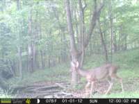 photo181_small.jpg