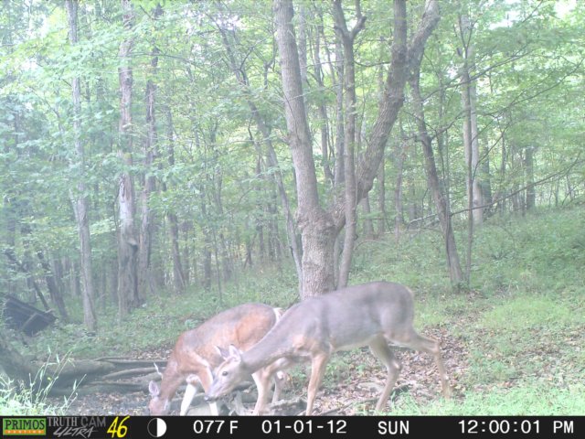 photo184.jpg
