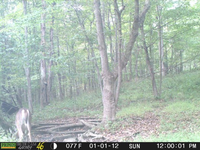 photo188.jpg