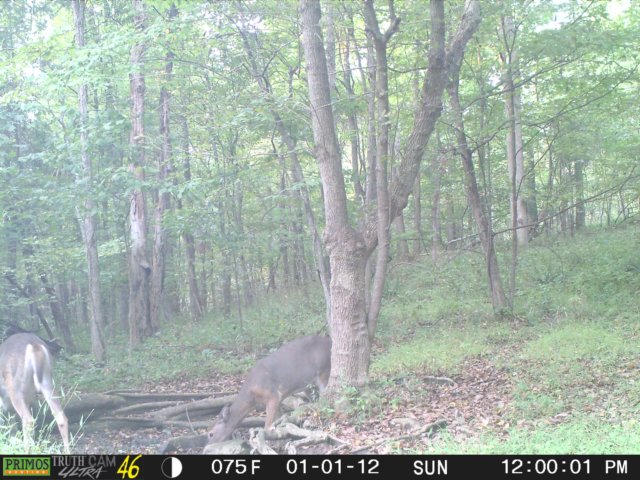 photo202.jpg