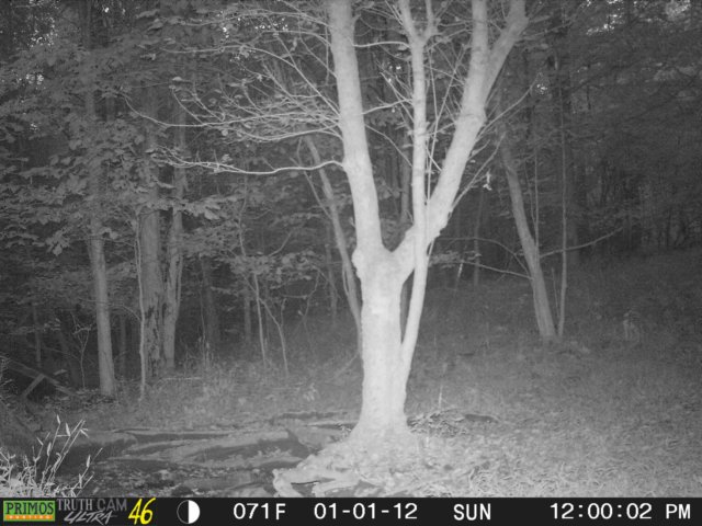 photo209.jpg