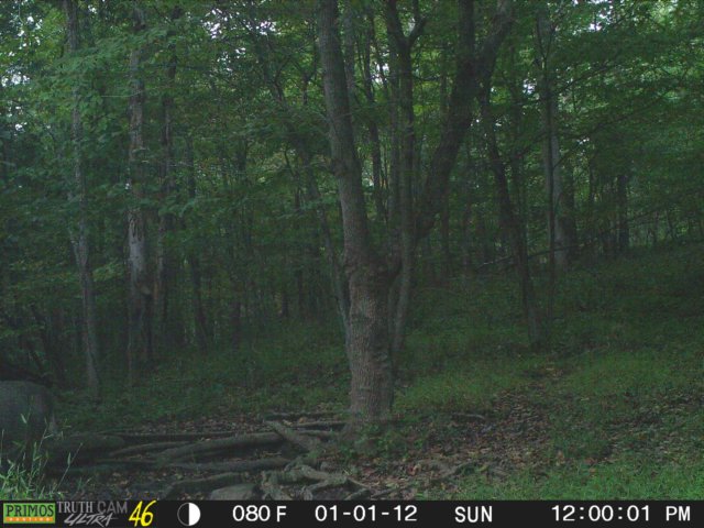 photo214.jpg