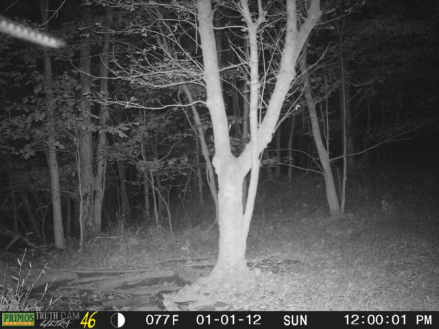photo216.jpg