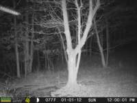 photo216_small.jpg