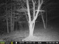 photo217_small.jpg