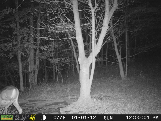 photo220.jpg