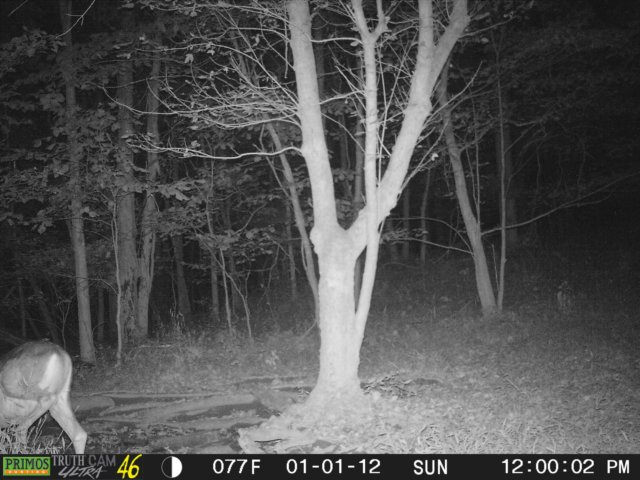 photo221.jpg