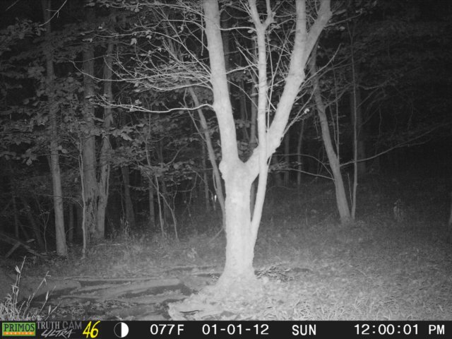 photo222.jpg