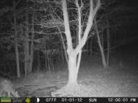 photo238_small.jpg