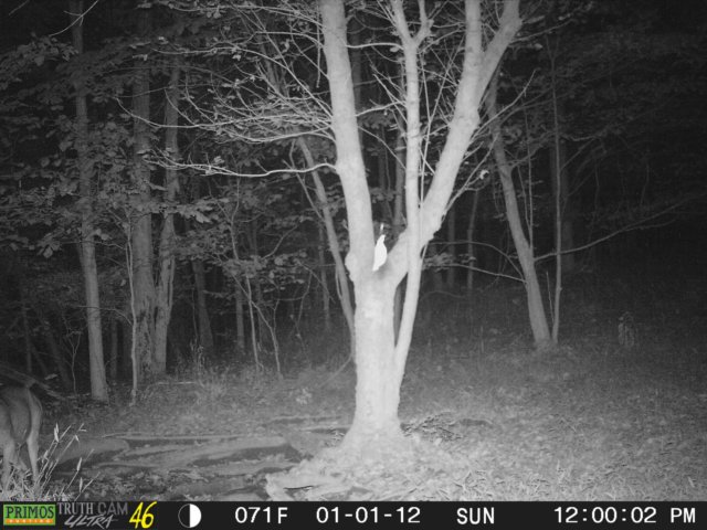 photo249.jpg