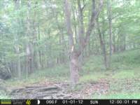 photo258_small.jpg