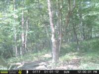 photo260_small.jpg