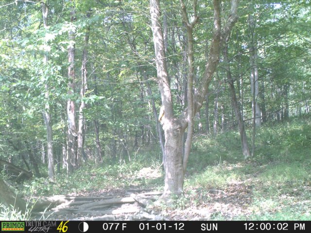 photo261.jpg