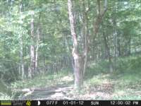 photo261_small.jpg