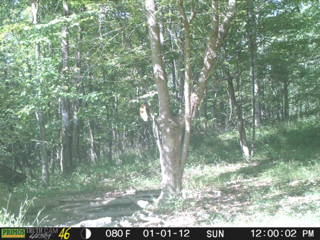 photo265.jpg
