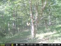 photo267_small.jpg