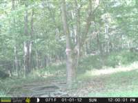 photo288_small.jpg