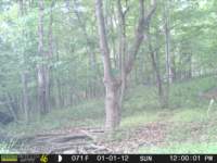photo290_small.jpg