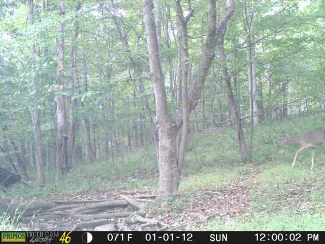 photo291.jpg
