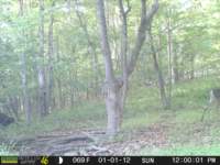 photo298_small.jpg