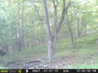 photo299_small.jpg