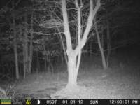 photo304_small.jpg
