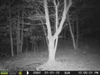 photo305_small.jpg