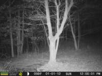 photo306_small.jpg