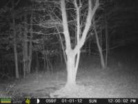 photo307_small.jpg
