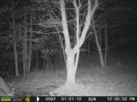photo309_small.jpg