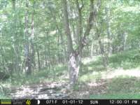 photo316_small.jpg