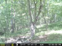 photo317_small.jpg