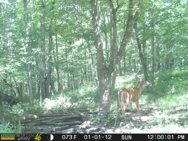 photo70.jpg