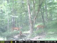 photo73_small.jpg