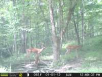 photo74_small.jpg