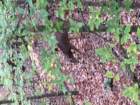img_1299_small.jpg