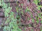 img_1301_small.jpg