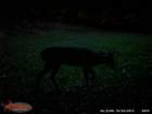 wgi_0079_small.jpg