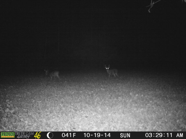 photo28.jpg