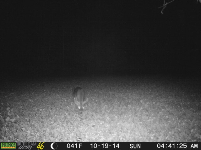 photo32.jpg