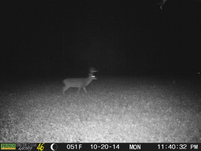 photo64.jpg