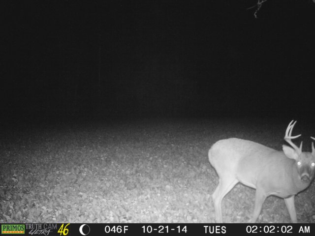 photo68.jpg
