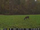 photo71_small.jpg