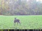 photo79_small.jpg