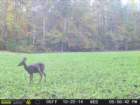 photo80_small.jpg