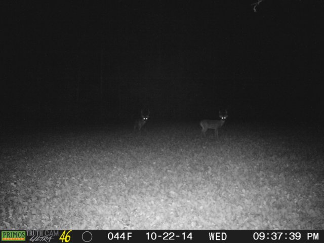 photo82.jpg
