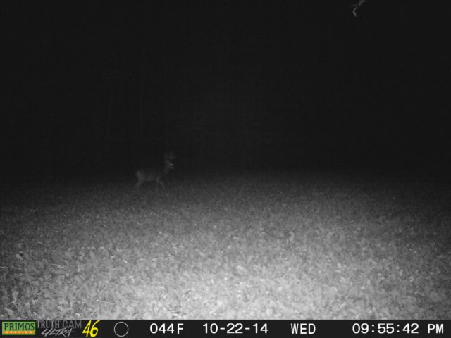 photo84.jpg