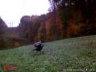 wgi_0016_small.jpg