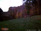 wgi_0053_small.jpg
